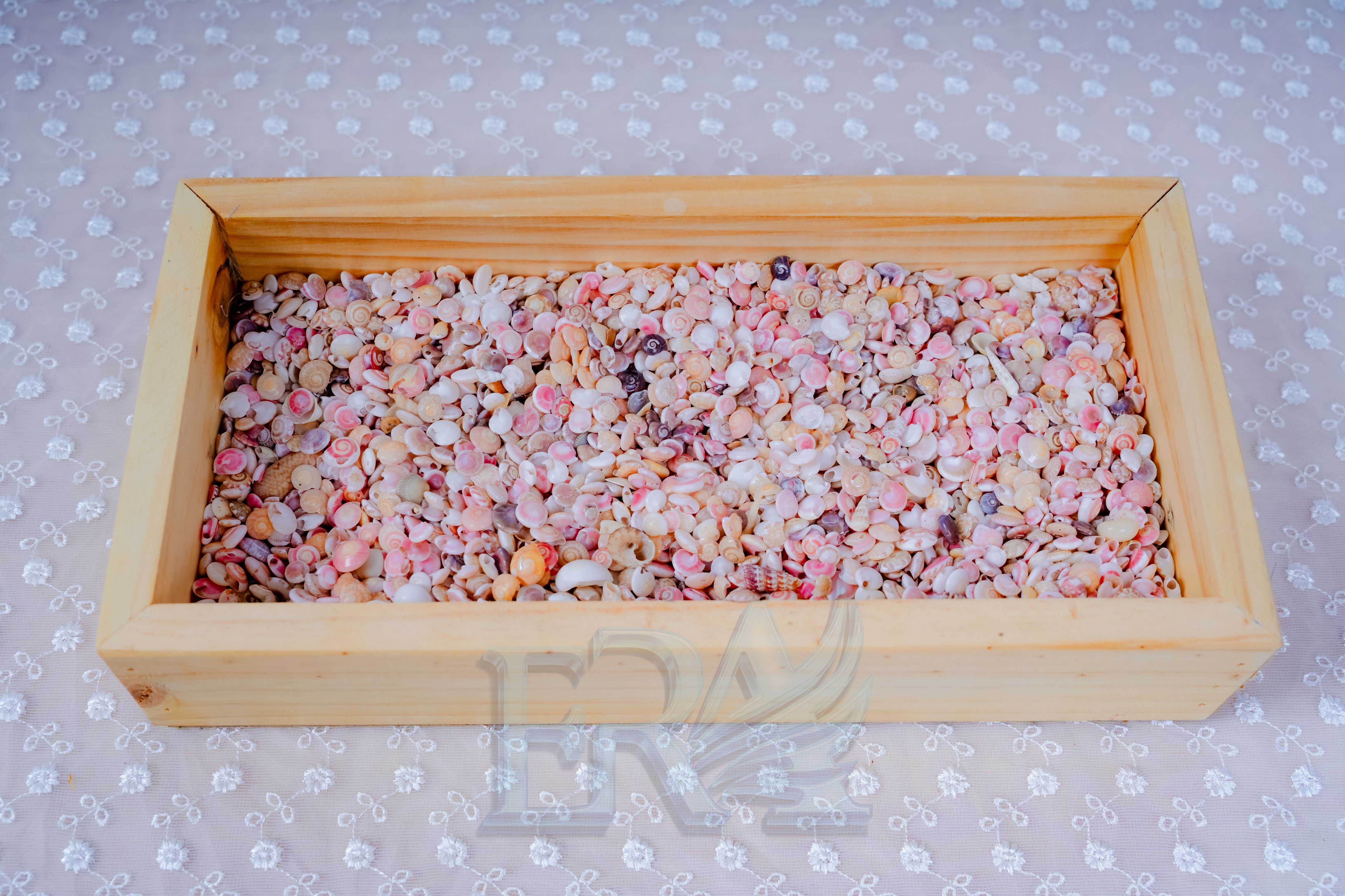 Vỏ Ốc Ruốc Loại 1